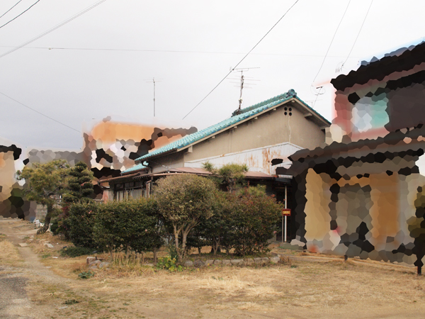 青い瓦屋根の平屋の写真