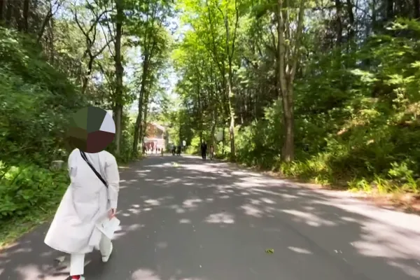 新緑の中、舗装された下り道を歩く様子